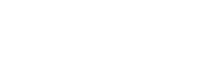 Holly & Ivy Flowers