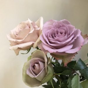 Roses, Amnesia, Quicksand and Memory Lane