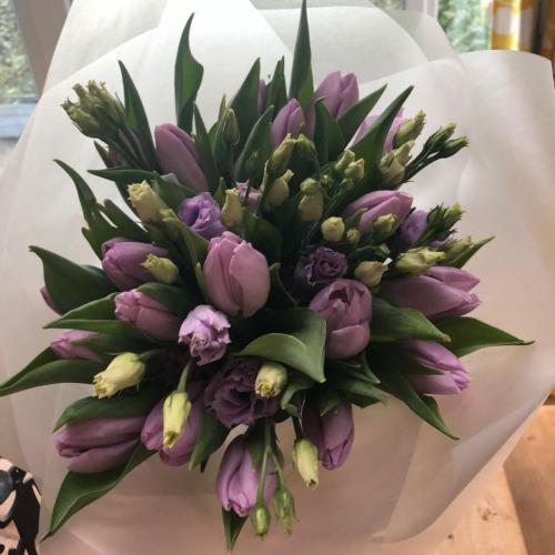 fresh tulips