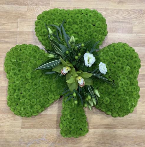 Shamrock