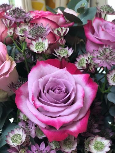 raspberry ripple rose and astrantia bouquet