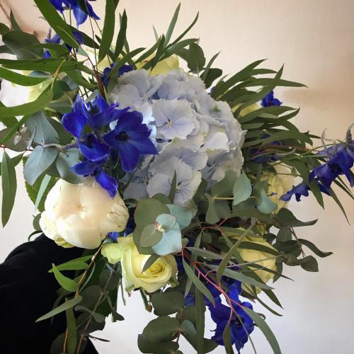 Blue Hydrangea