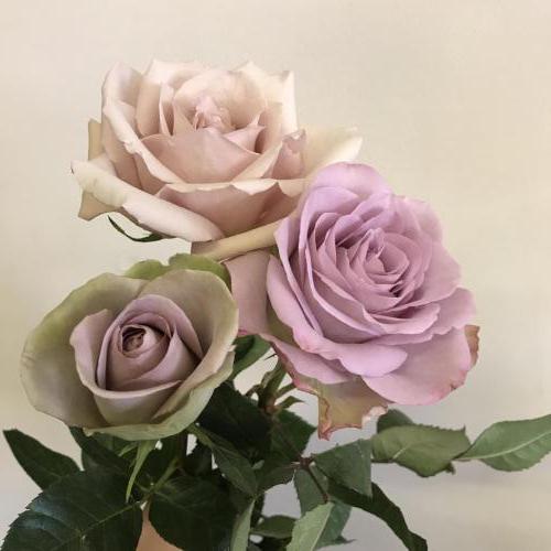 vintage roses for winter wedding
