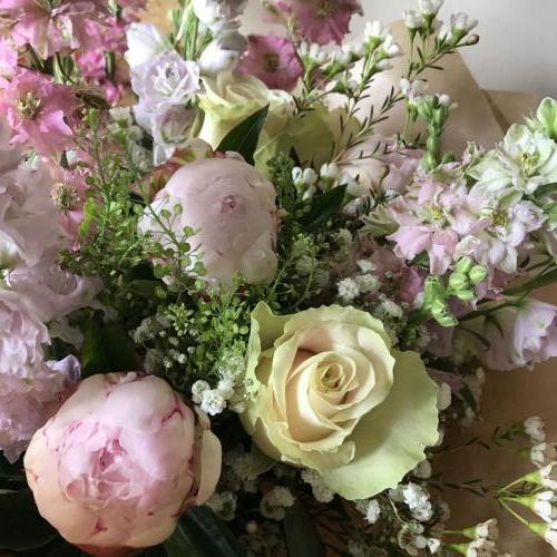 Pink Peony